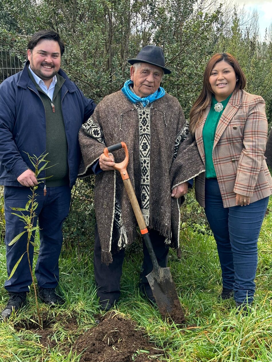 Venancio Coñuepan y Llacolén Millaquir junto a una autoridad ancestral mapuche en una jornada de plantación en La Araucanía